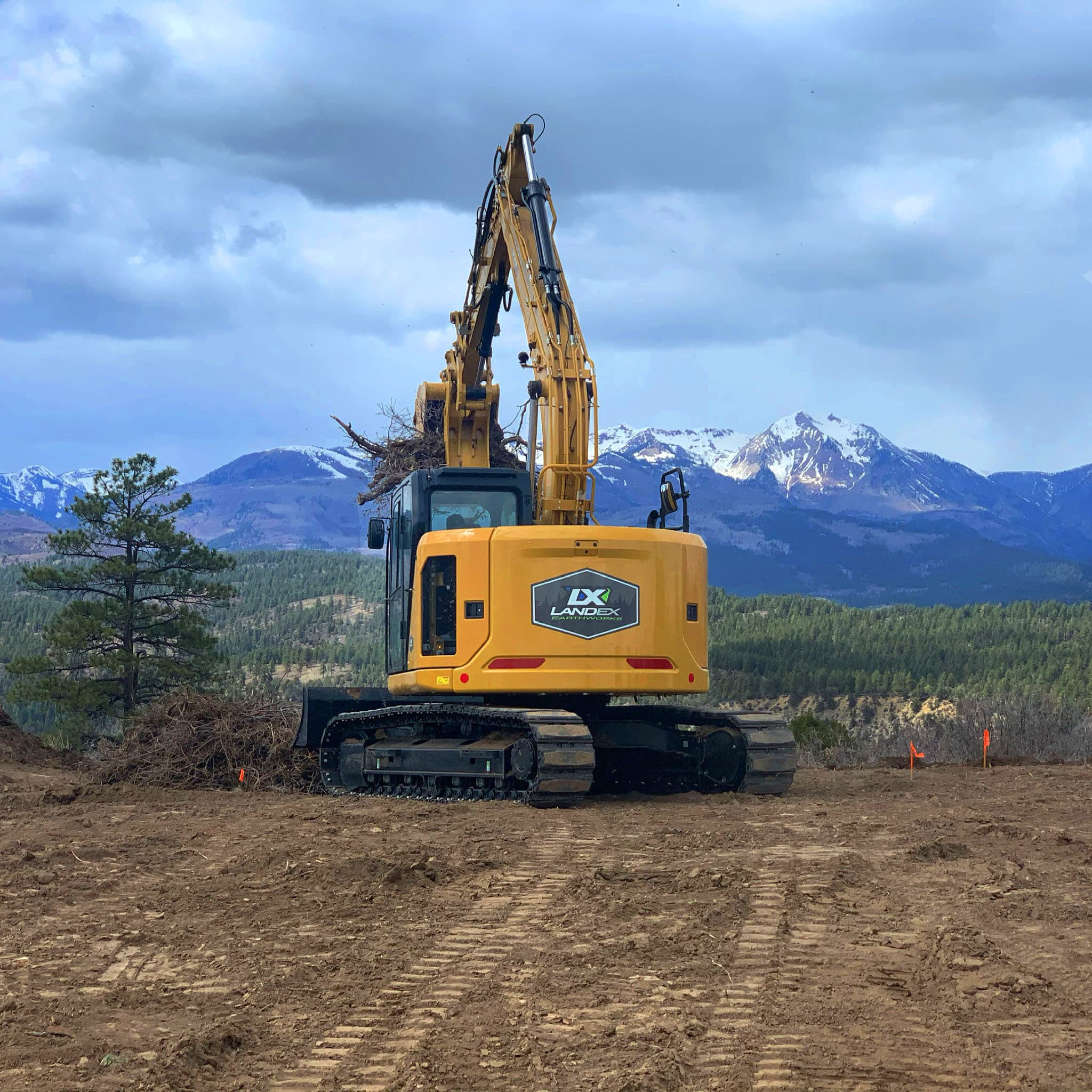 LandEx excavator and Stihl chainsaw on land clearing jobsite in Durango pine forest