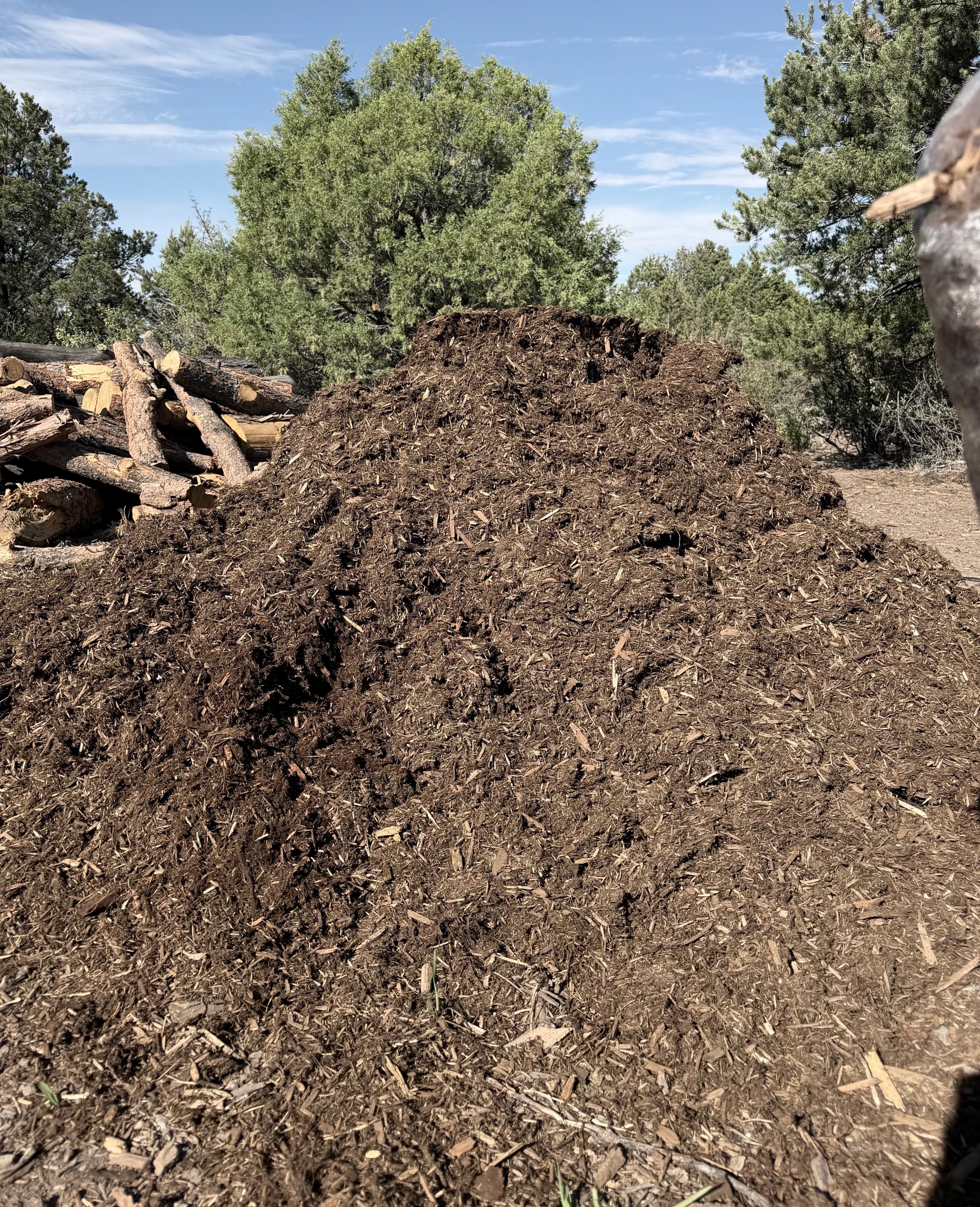 Fresh Western Red Cedar mulch pile among the pines in Durango, Colorado, available in bulk from LandEx Earthworks