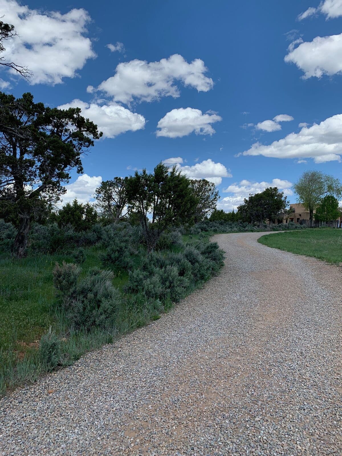 Crushed gravel driveway curving through natural landscape in Southwest Colorado
