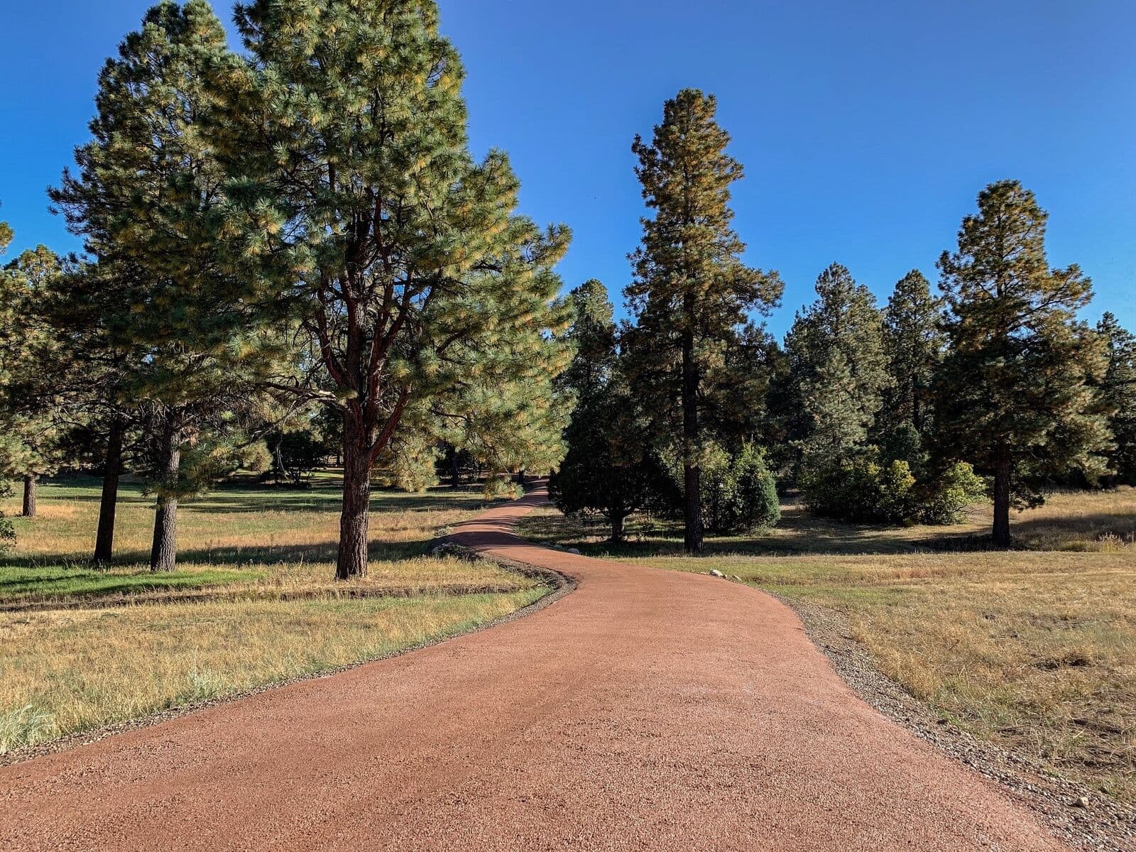 Curved red gravel driveway through a grassy pine meadow in Durango, Colorado by LandEx Earthworks