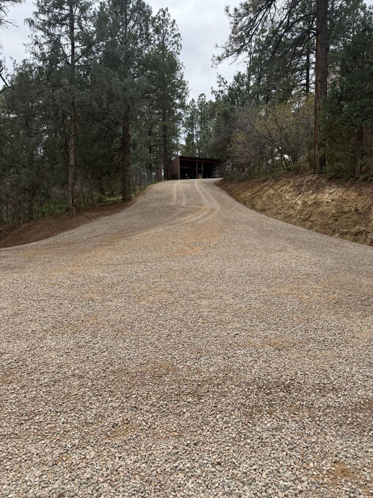 Gravel driveway graded through a pine forest property near Durango, Colorado