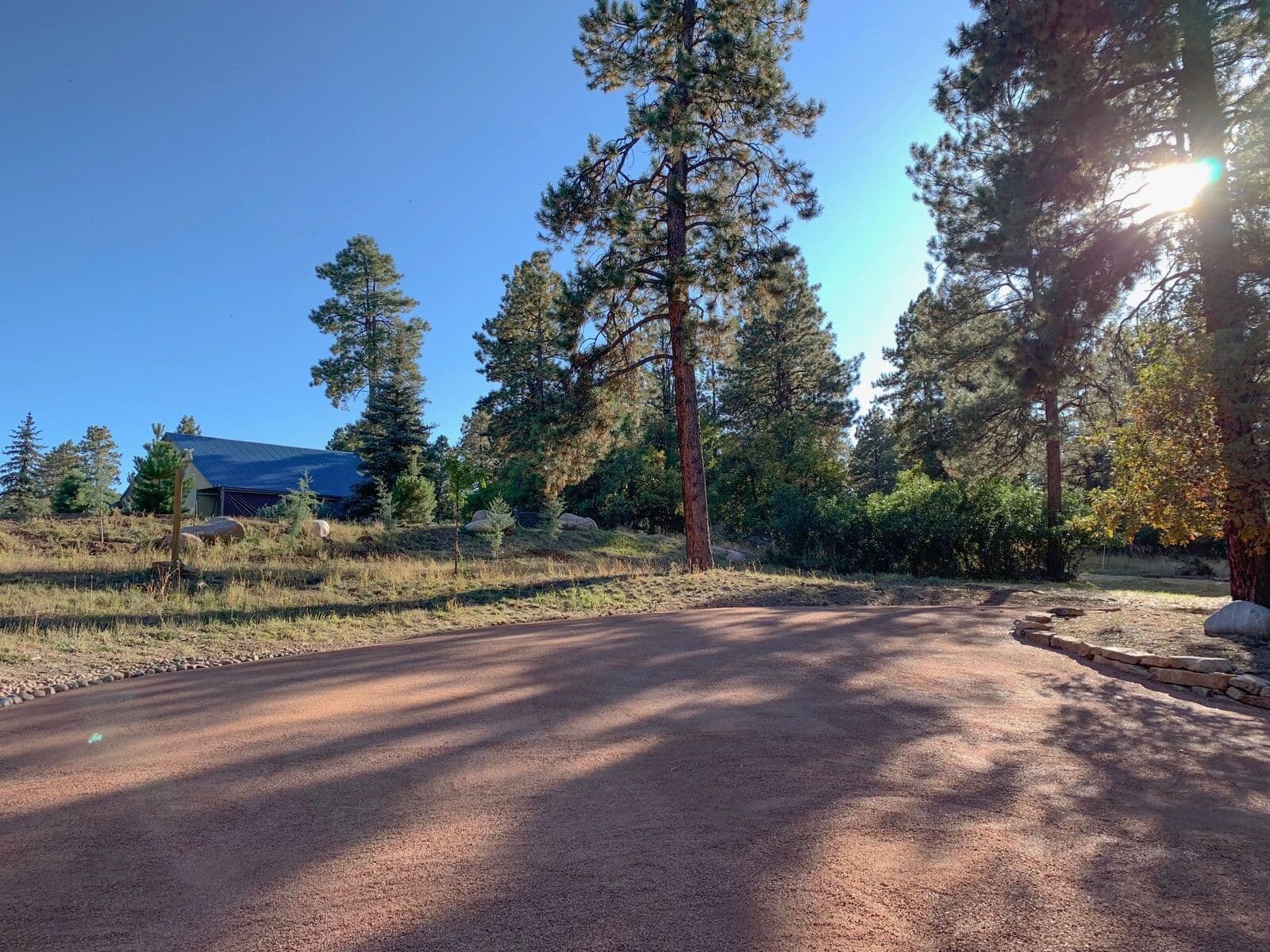 Red gravel parking area graded beneath ponderosa pines in Durango, Colorado