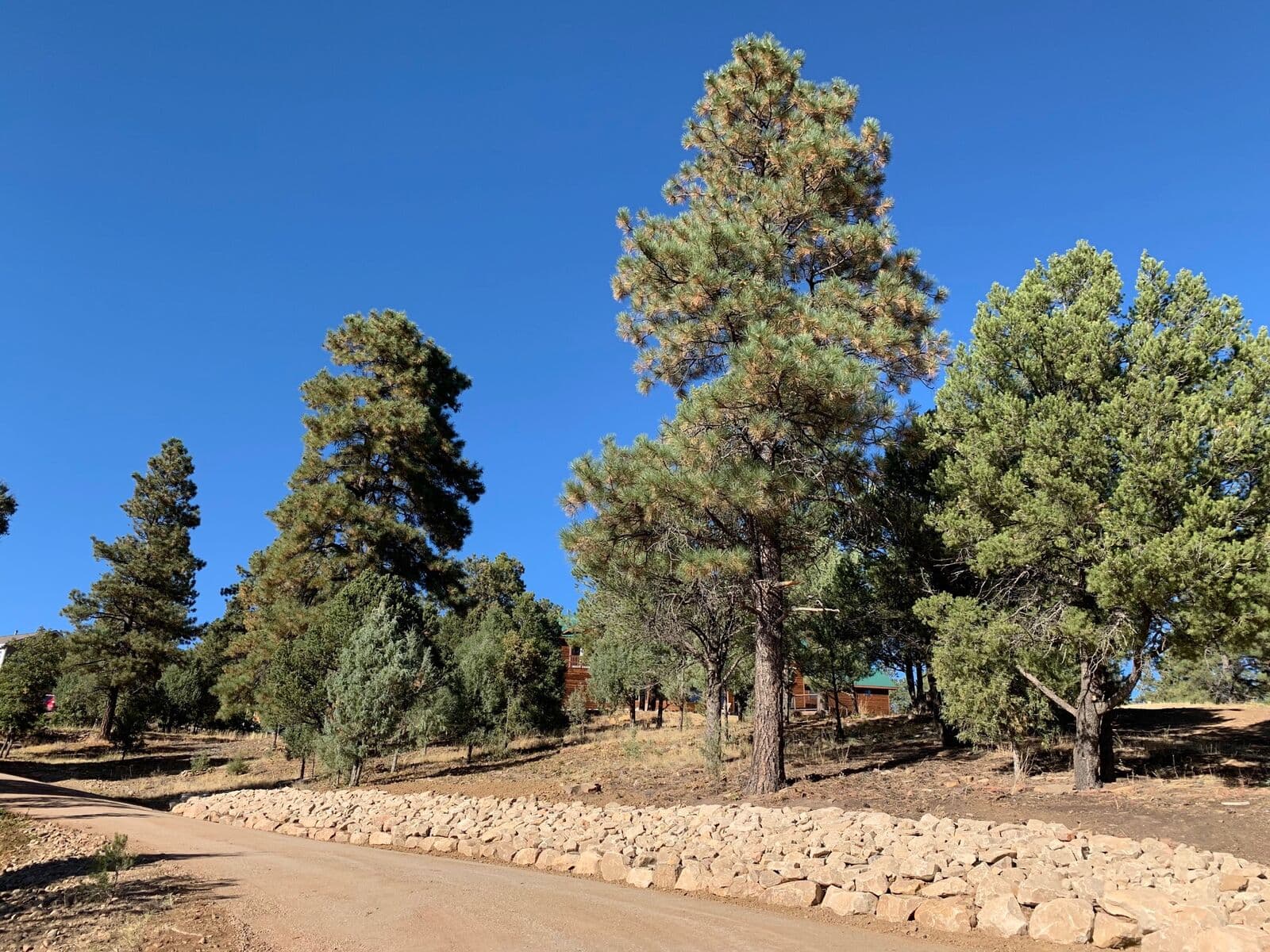 Rock lined gravel driveway beneath ponderosa pines in Durango, Colorado by LandEx Earthworks