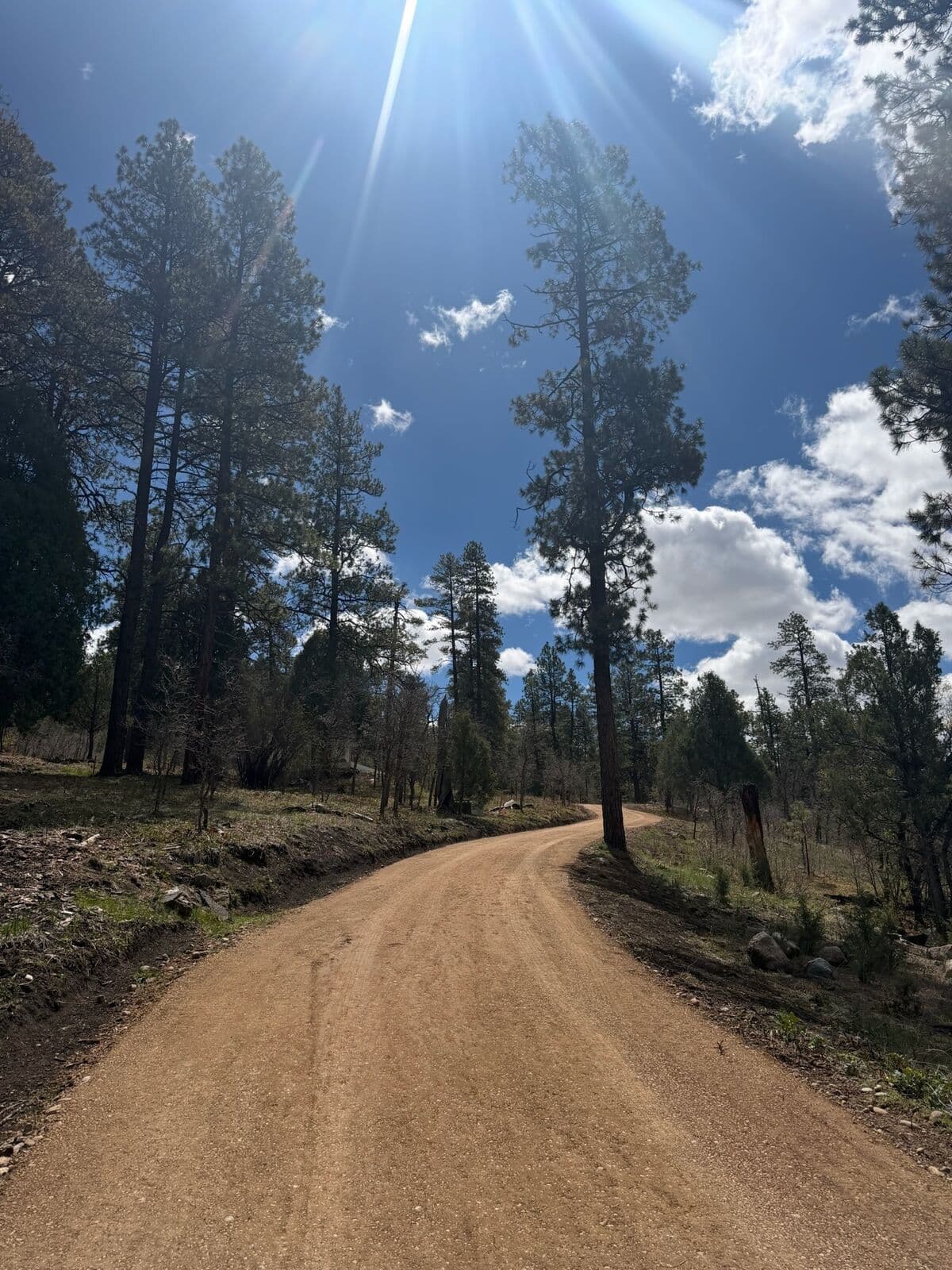 Private road grading through a forested property in Southwest Colorado by LandEx Earthworks